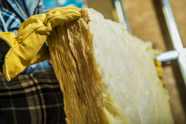 Best Specialized Insulation Services in Arnold, MD