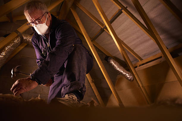 Best Spray Foam Insulation in Arnold, MD